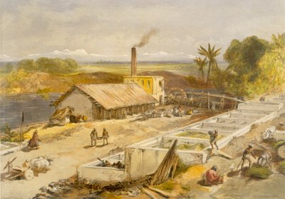 Indigofabrik - Bengalen, aus 